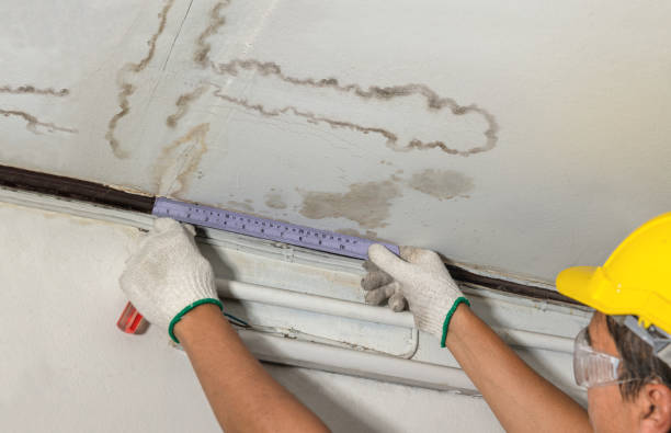 Reliable Water Damage contractor in North Arlington, NJ by Water Damage Irwin